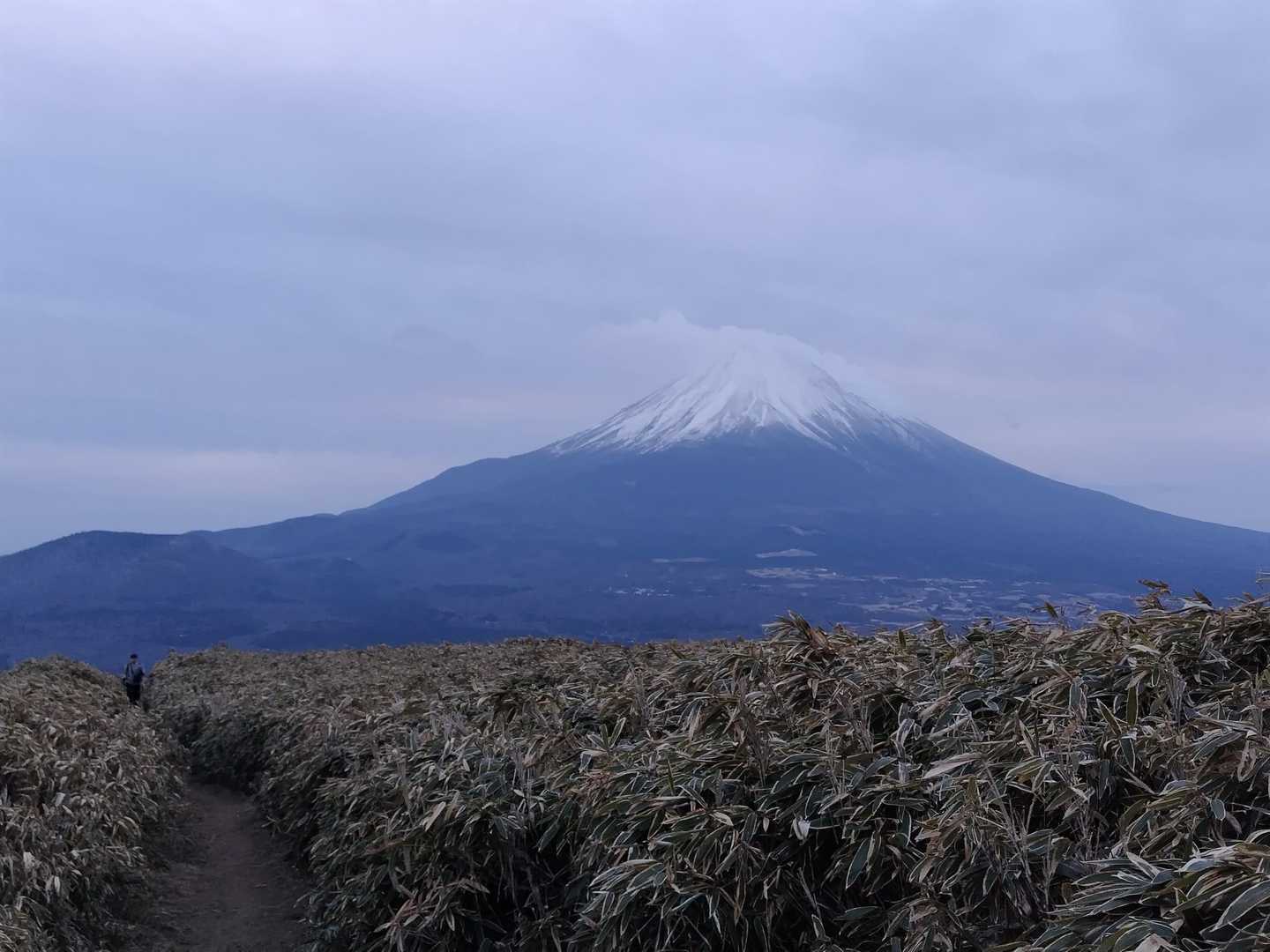 本栖湖キャンプ場-竜ヶ岳 往復コースの写真