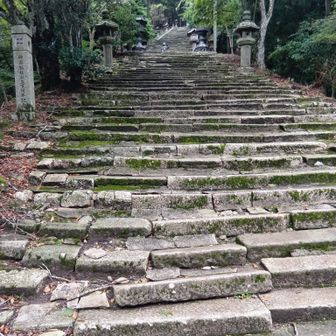 階段も歩きやすい