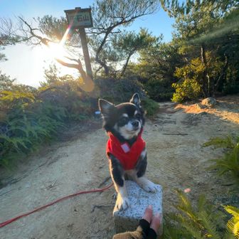 ⛰️277m❗️23🙌