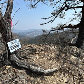 武蔵展望台は破風山山頂からの景色を見てしまうと...。
