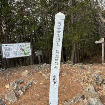 質素な山頂標識