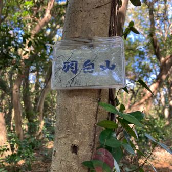 塩ビカード入れ