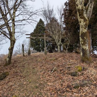 山頂の鳥居⛩️