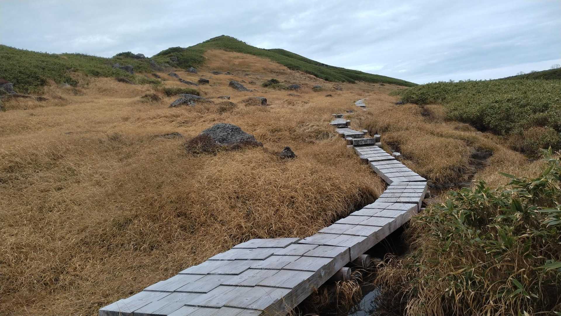 今日は月山森へ
寂しい色の山道が続く