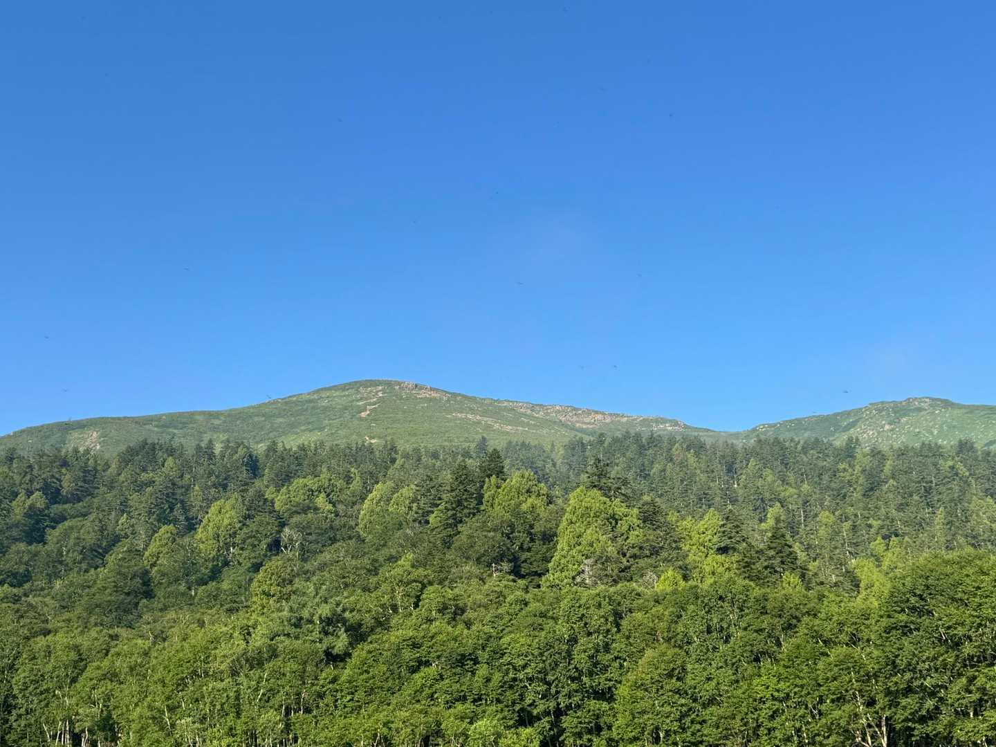 あれが至仏山か…
結構高くないか？
ここが標高1400mで至仏山は標高2200mだから800mくらい登るのか。
調べたら初心者でも登れるらしいから大丈夫かな。