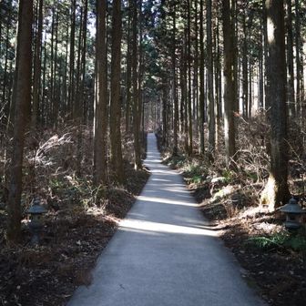 この坂道も急なんだよ。