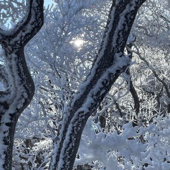 モバイルバッテリーをポッケに突っ込みながらロープを跨いでいたら左足のチェーンスパイクが引っかかって転倒し、そのまま急登を転がり落ちてしまいました😱
雪のおかげでほぼ無傷でしたが、2人に多大なるご心配をお掛けしてしまいました
ゴメンね😢