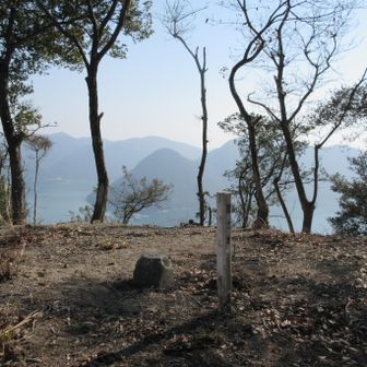 周りの木が無ければ眺めがよかろうに