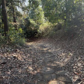 なかなか雰囲気のある道