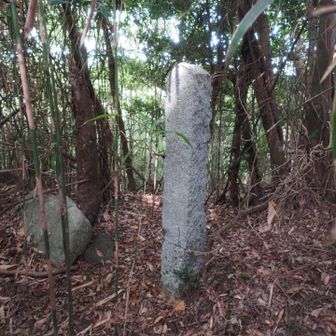 一の鳥居の横. 梵字でなんか書いてある.