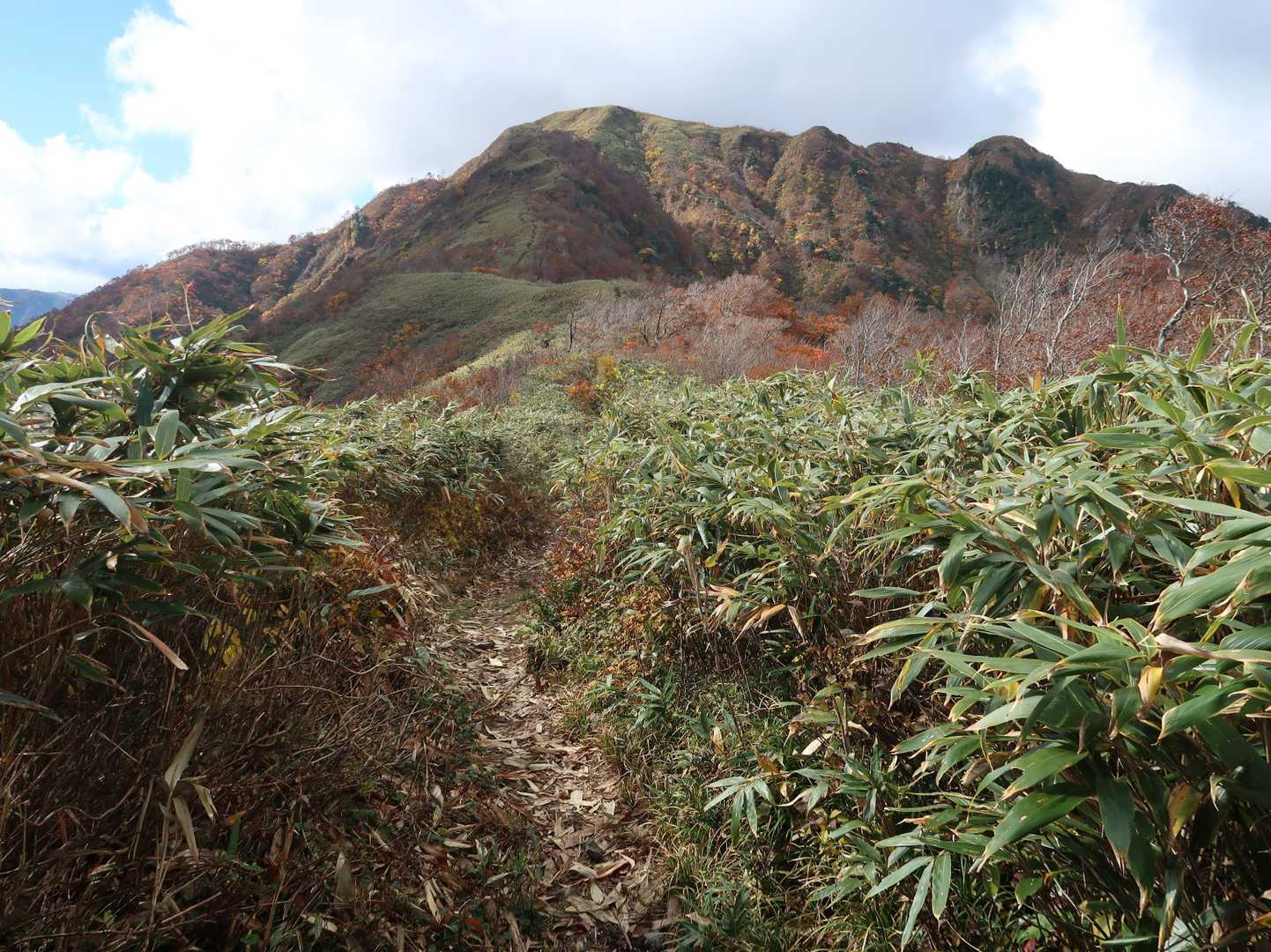 白倉岳。白倉岳の背後の金草岳は見えていない。このあたりの道は乾いていた。前日、雨は降らなかったようだ。