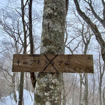 キムンモラップ山⛰️山頂到着
山頂暴風🌪️鹿の鳴き声🦌が恐怖心を煽る😂