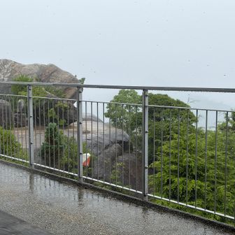 ありゃ〜土砂降り…⚡️こりゃ帰れないなぁ。
しかも、カッパ持ってきてないし。
いつもは入れてるんだけど、今日にかぎって出してきた。登山者失格だな😅