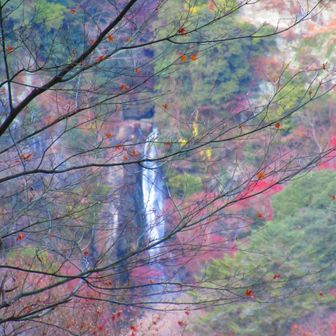 絶景ポイント
箕面大滝