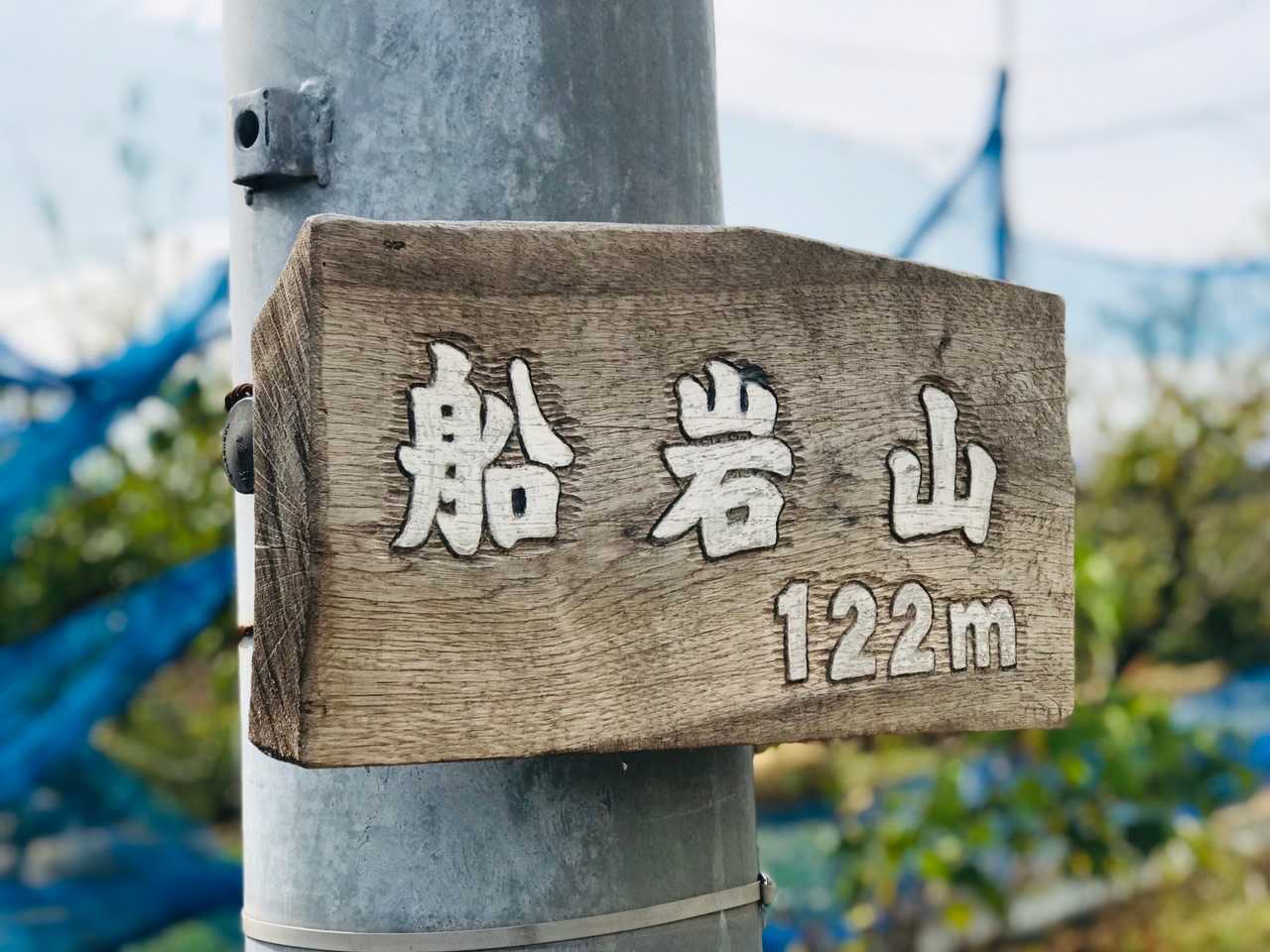 ベストショットはこちらに