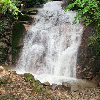 男滝　雨上がりで迫力満天