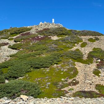 赤石避難小屋方面から赤石岳山頂を望む
