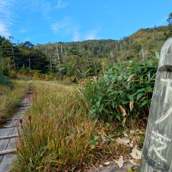 下の芝に到着しました❗️
下➡中➡上と芝シリーズ続きます。