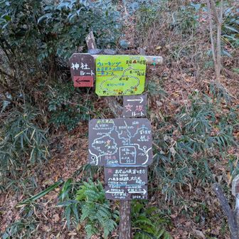 神社ルートは少し坂になっている程度で問題ありませんでした。