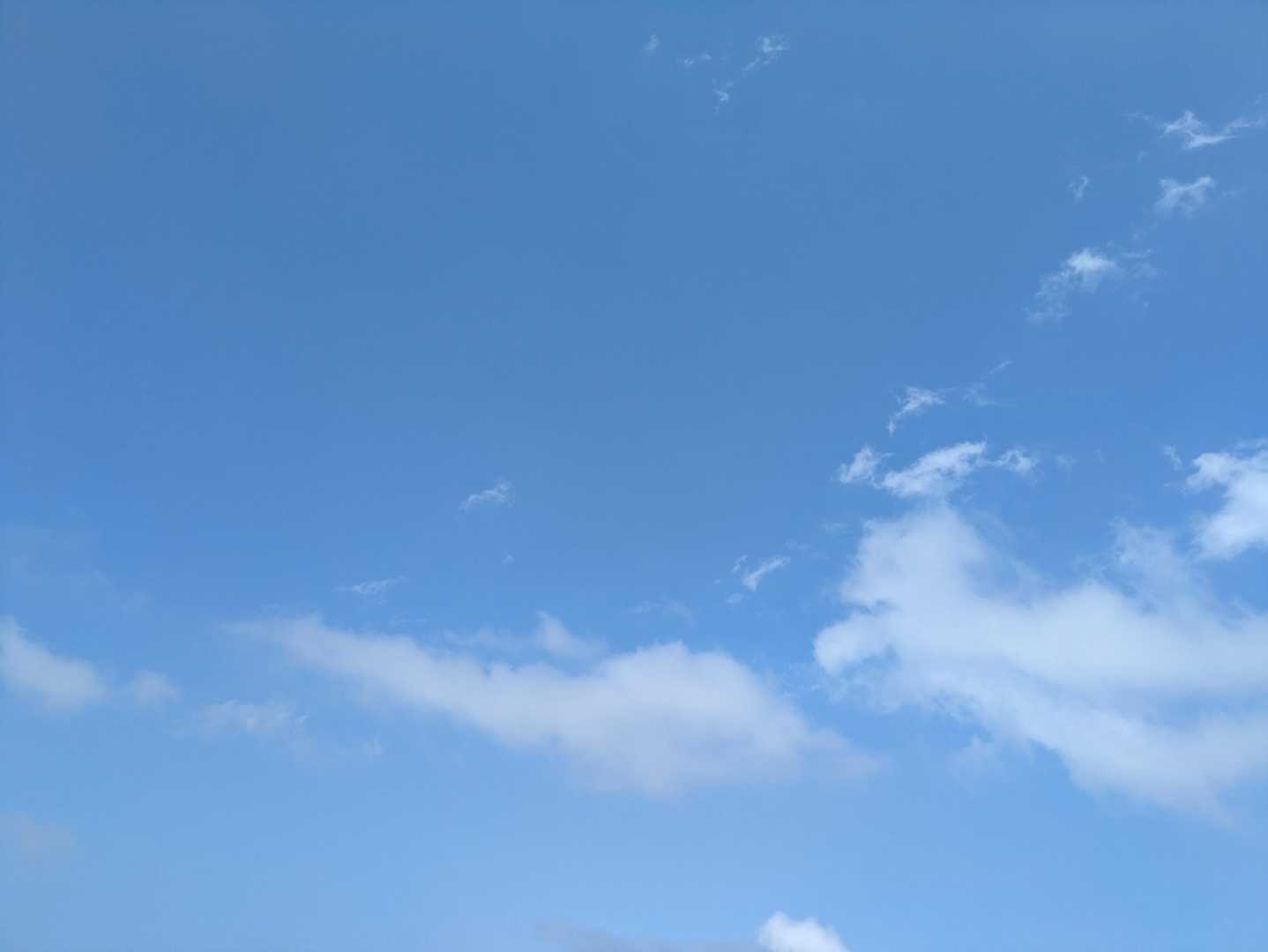 磯砂山 往復コースの写真