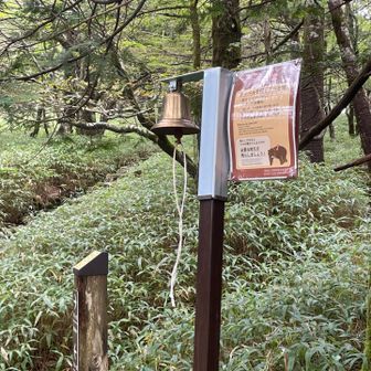 熊🔔あまり鳴らすと熊が気にしなくなるみたい💦