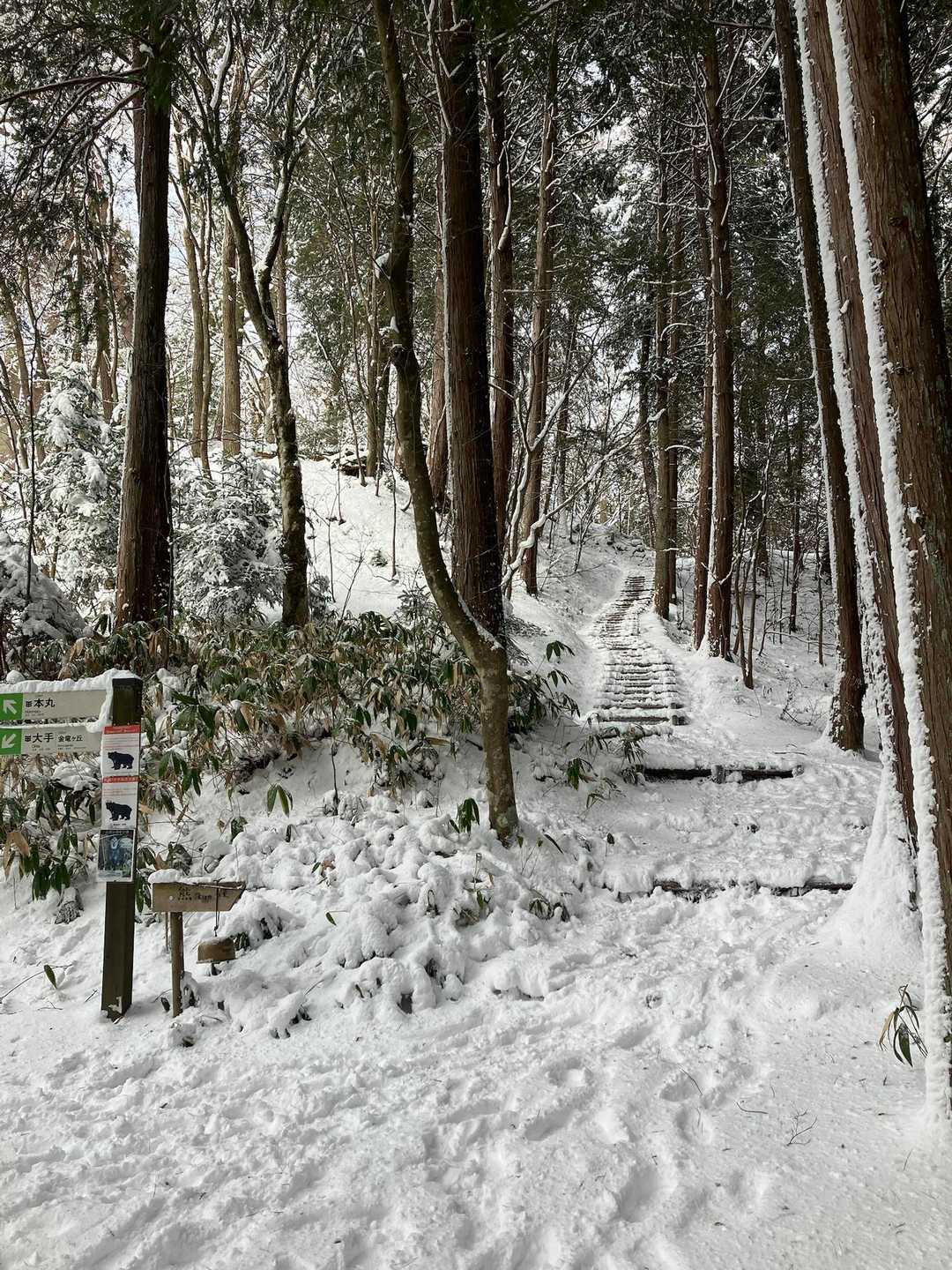 さぁ、もう一息