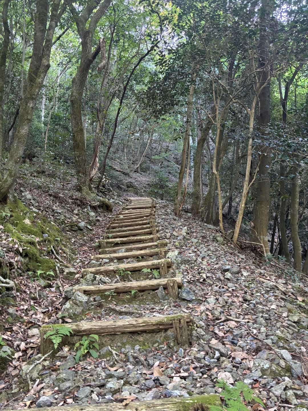と、思ったら
わぁ〜💦
   階段地獄💀