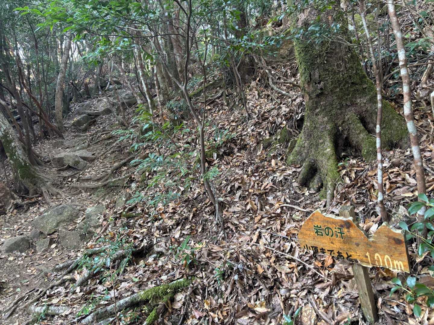 山頂まで100m
岩の汗とは？💦🧐