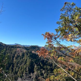 しばしお菓子食べてまったり。