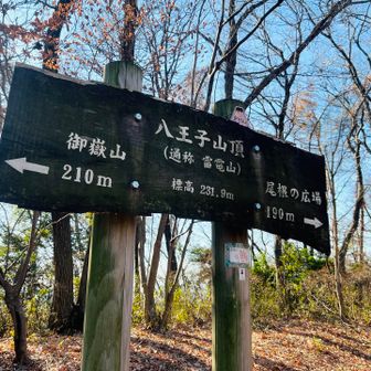 八王子山頂到着⛰️✨

八王子山…❓
雷電山…🤔

鹿田山はどこ❓って思ったら…
小さな山名版のありました💦