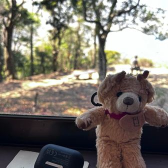 明日は雨みたいなので小屋に避難しています
持ち主の方へ届きますように