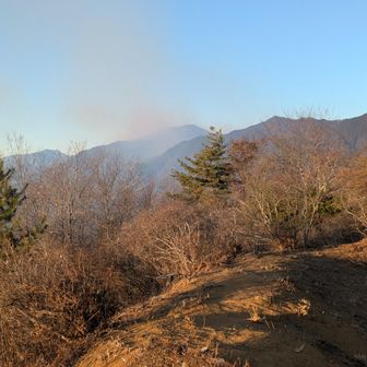 要害山からの扇山の火災のけむり　ここでも早く鎮火できますようにと祈ってきました