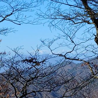 南アルプスも見える　右から北岳､間ノ岳､農鳥岳かな？