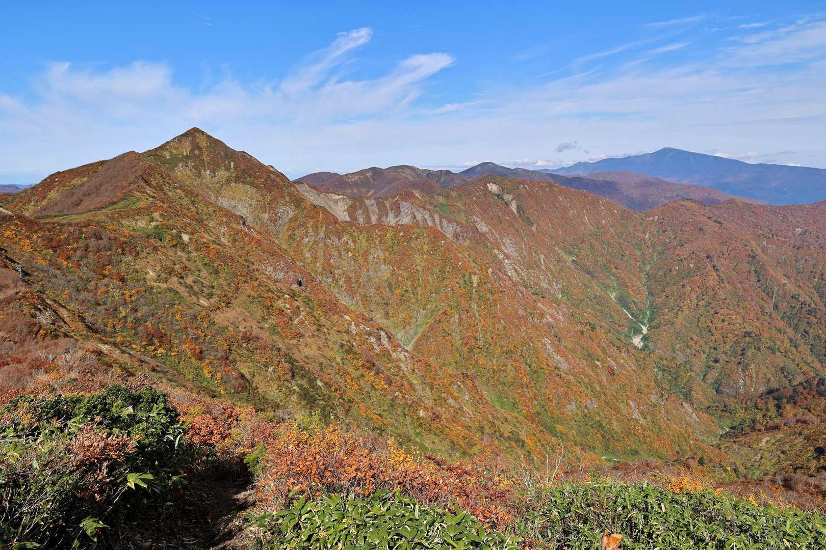 紫ナデ-小障子-障子ヶ岳-粟畑-天狗角力取山-焼峰 周回コースの写真