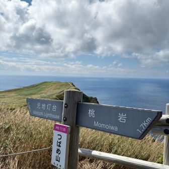 つばめ山！アナツバメが飛んでるから？