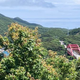 木が生い茂り🌲この角度がギリギリ