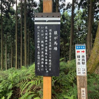ここを歴史上の人物たちがかけていったんだな〜とおもいを馳せれます