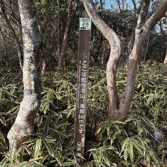 蛇年も残りわずか