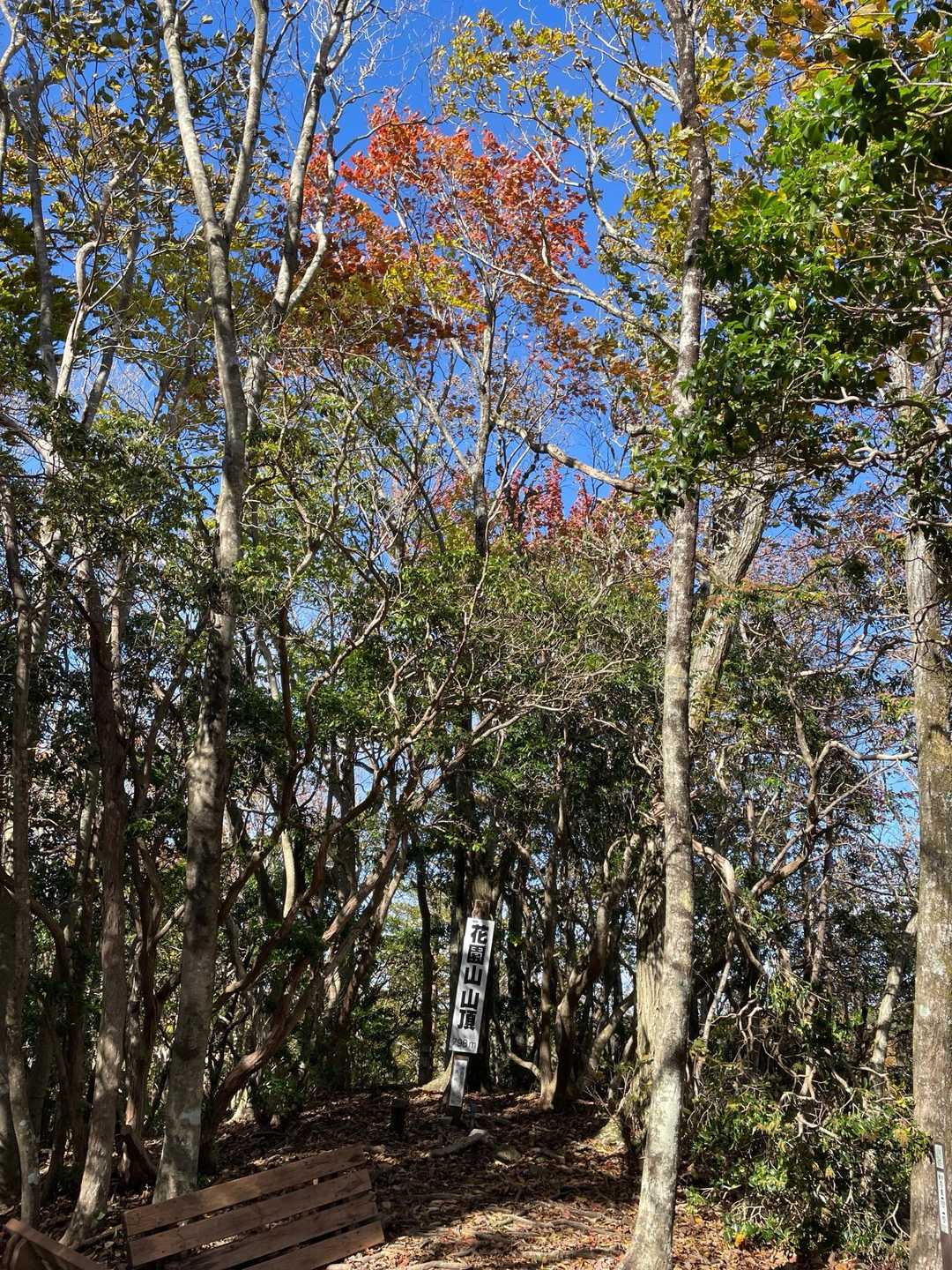 花園山山頂