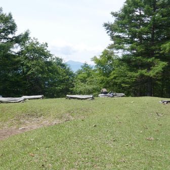 富士山はまともに見えず。