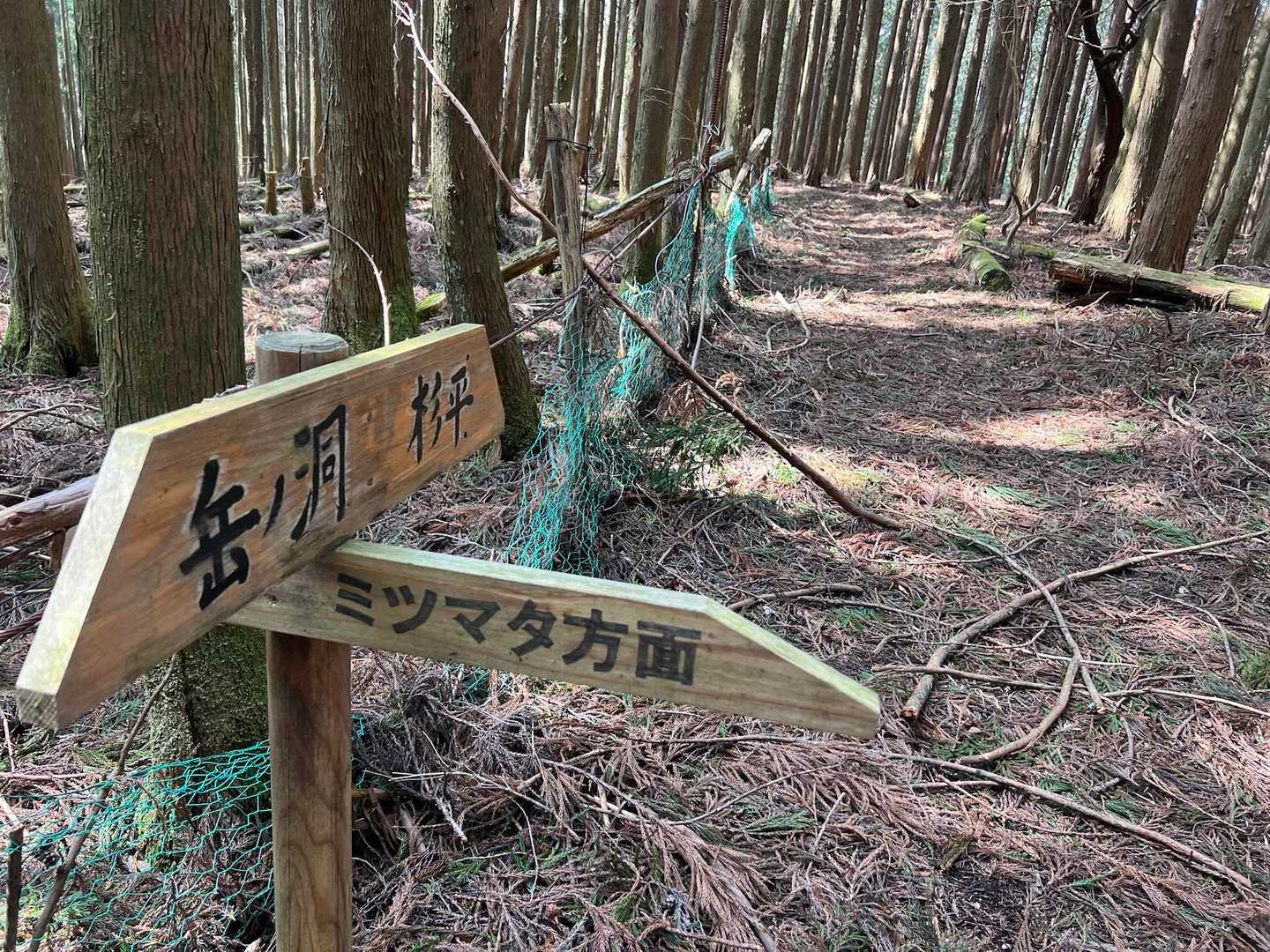 ミツマタ方面ですよ！