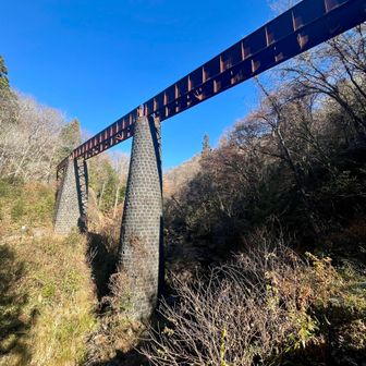 これって何なんやろ😕誰か教えてけろ〜