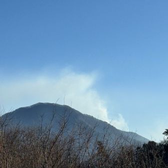 ここからも扇山の延焼が確認できました👀