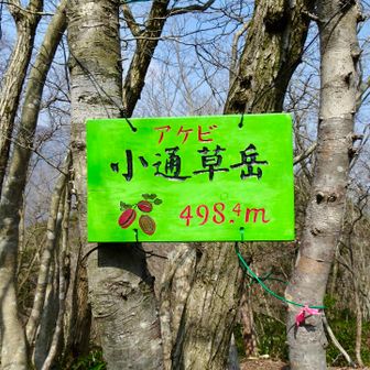 通草で『アケビ』って呼ぶんですね
フリガナ無いと読めない😅