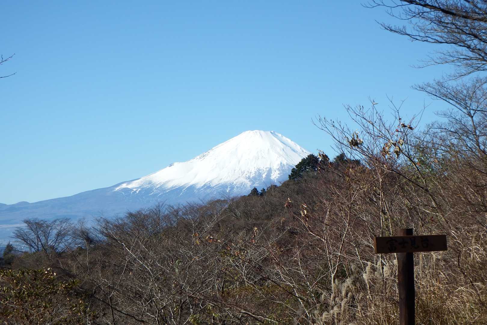 富士見台からの富士山
