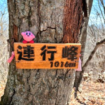 れんぎょうほう？