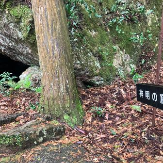 神明の窟
窟巡り完了！