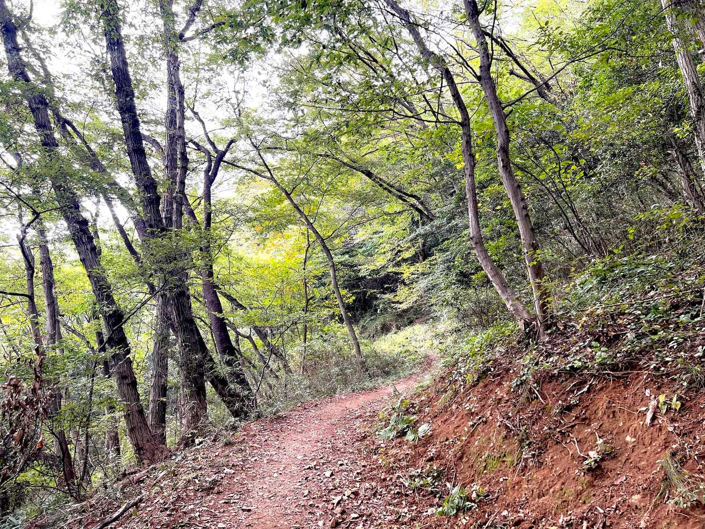 三毳山-中岳 周回コースの写真