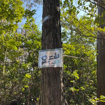 何はともあれ山頂です🥲