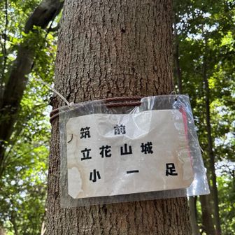 小一足